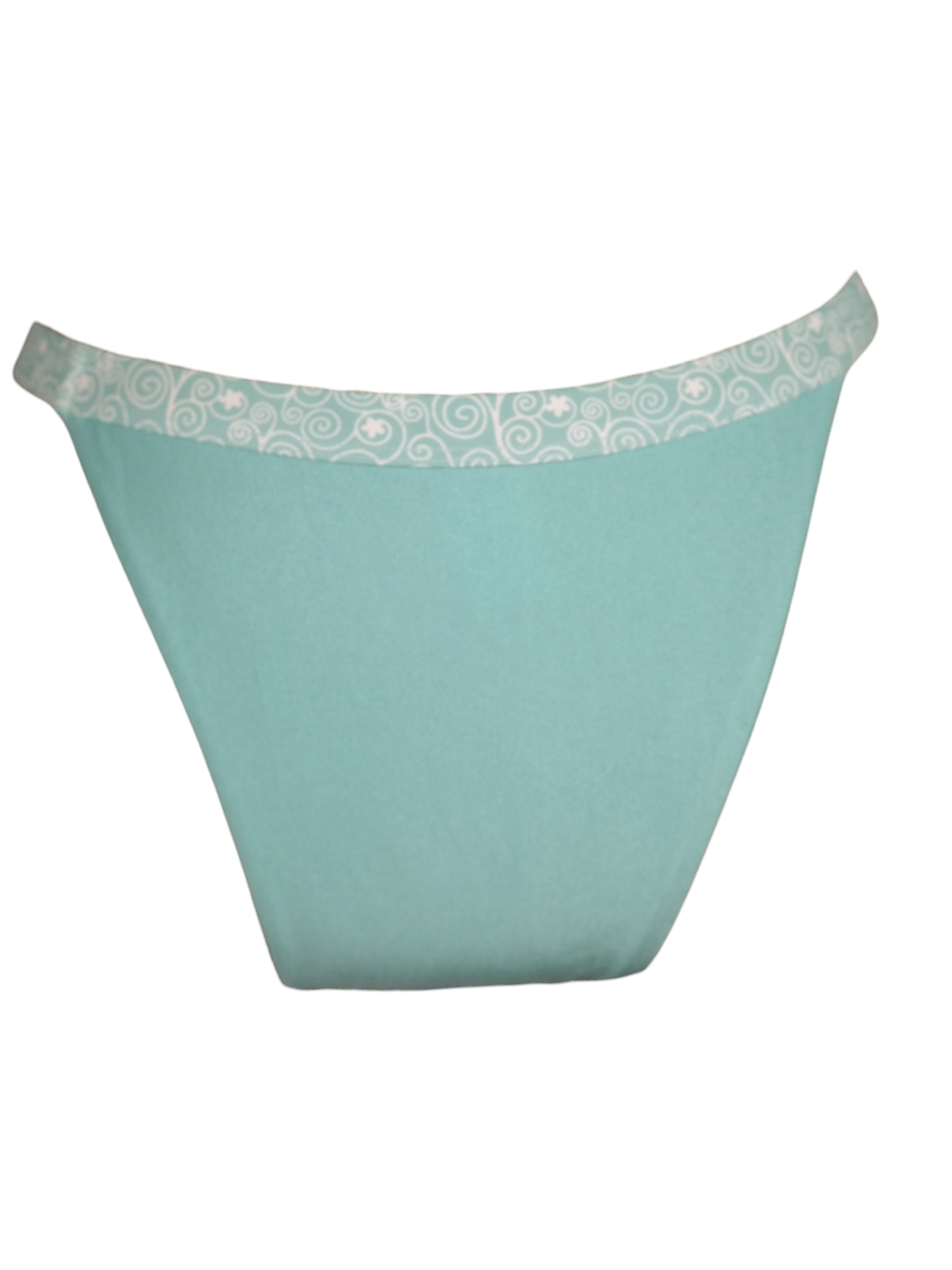 Wave Break Bikini Bottom in aqua. Back view.